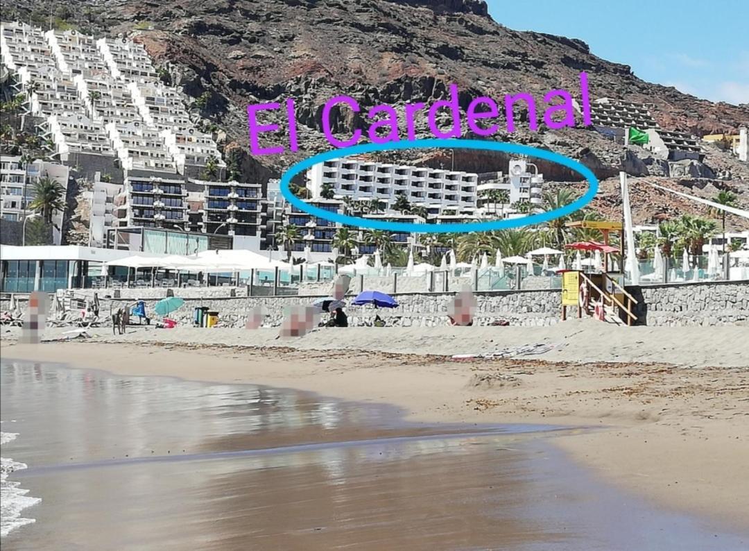 Apartamento El Cardenal Mick & Rosa Playa Del Cura  Eksteriør billede